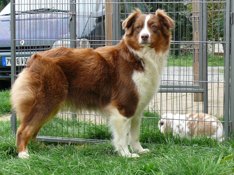 Ermione dite emy of Yetepiloux